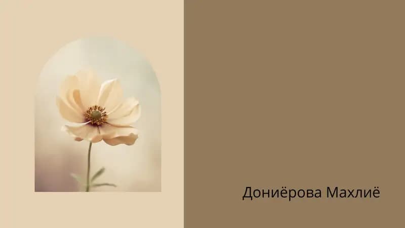 зарубежные литература