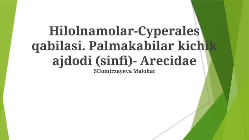 Hilolnamolar-Cyperales qabilasi