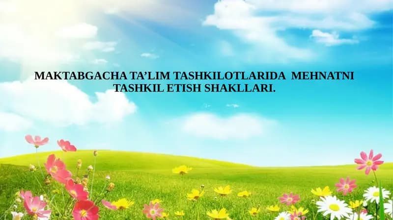 MAKTABGACHA TA’LIM TASHKILOTLARIDA  MEHNATNI TASHKIL ETISH SHAKLLARI.