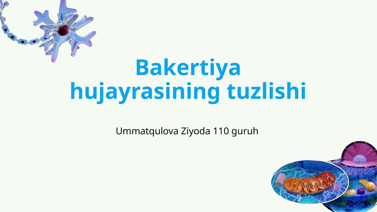 Bakteriyajayrasining tuzilishi