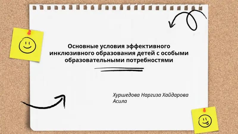 Основные условия эффективного инклюзивного образования детей с особыми образовательными потребностями