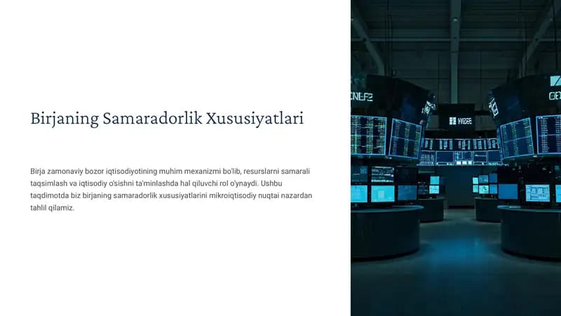 Birjaning Samaradorlik Xususiyatlari