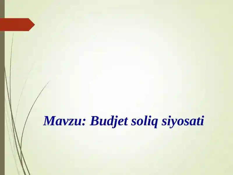 Budjet soliq siyosati