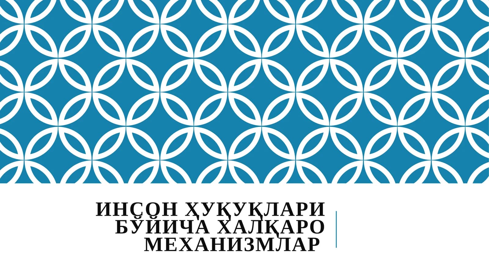 Инсон Ҳуқуқлари Бўйича Халқаро Механизмлар