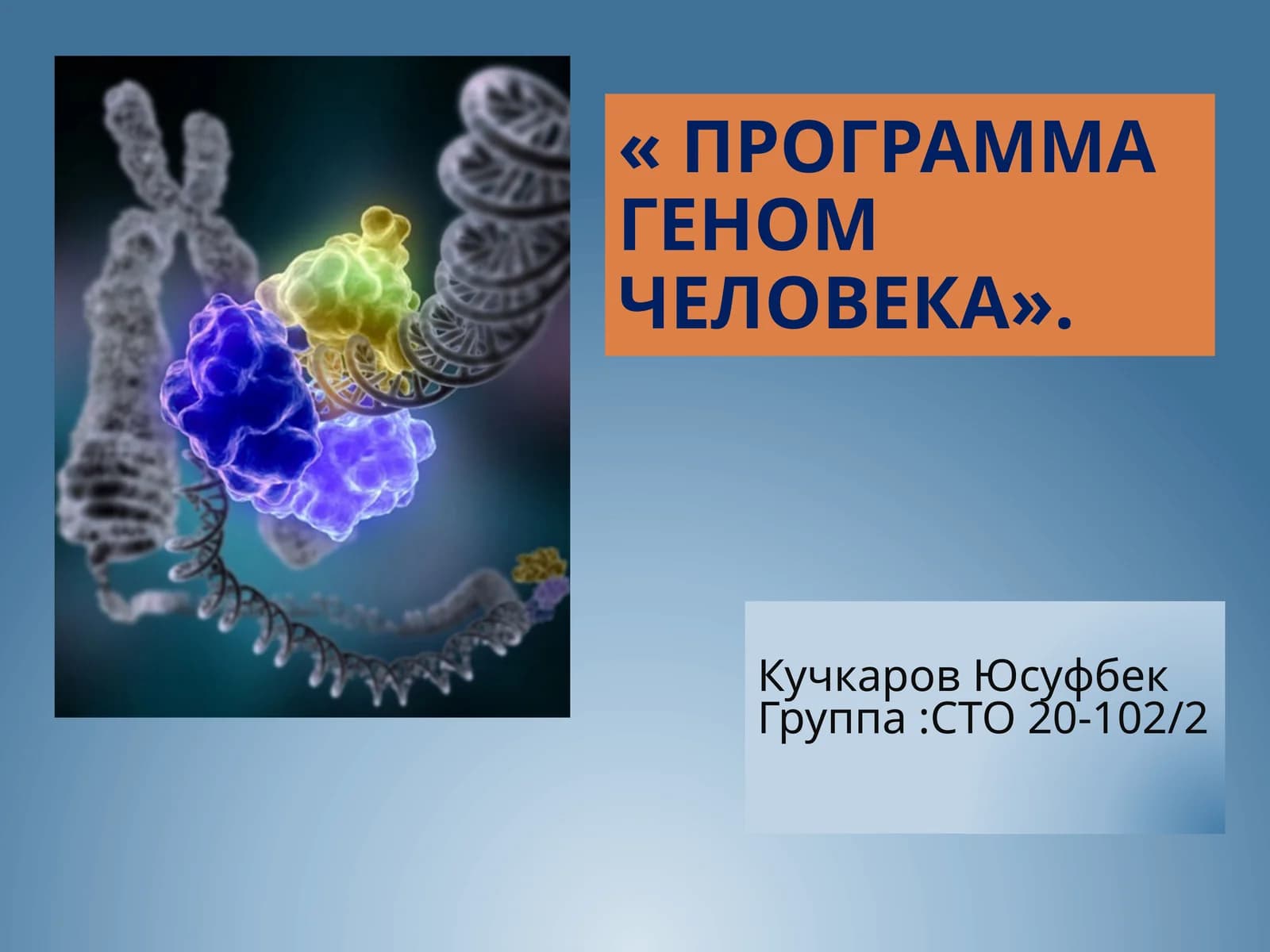 Программа Геном человека
