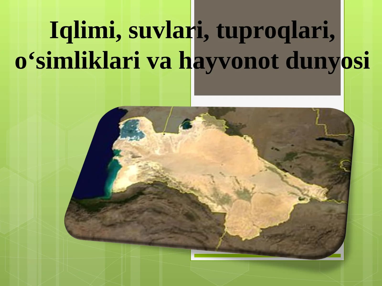 Iqlim va Hayvonot Dunyosi