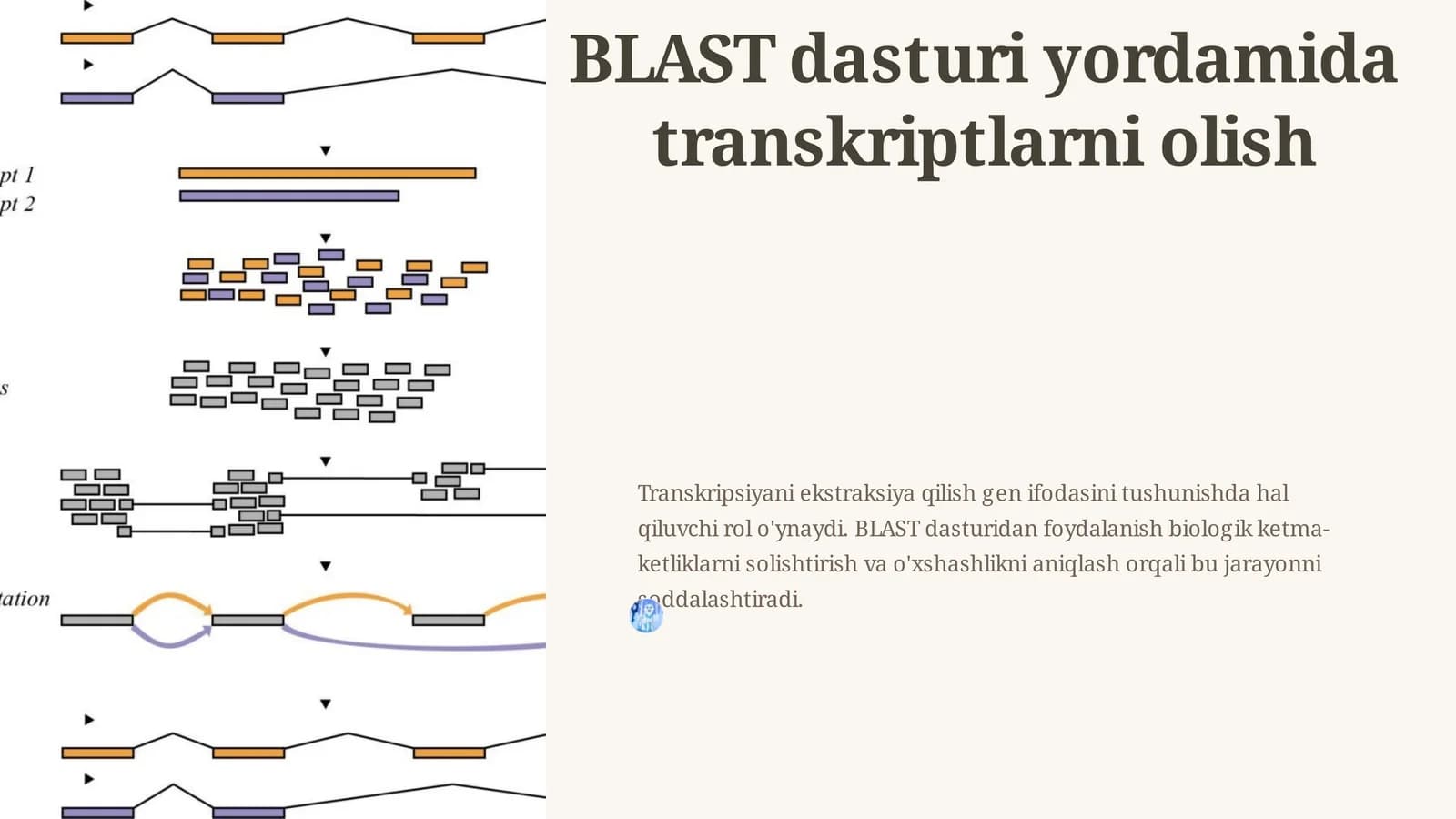BLAST dasturi yordamida transkriptlarni olish