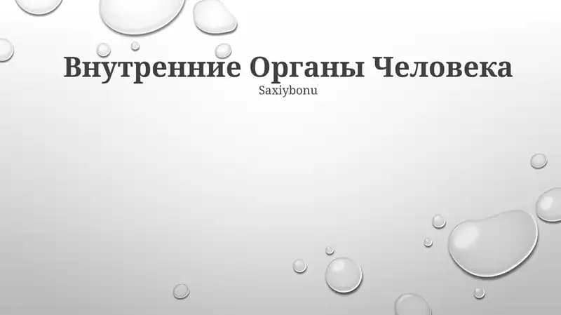 Внутренние Органы Человека