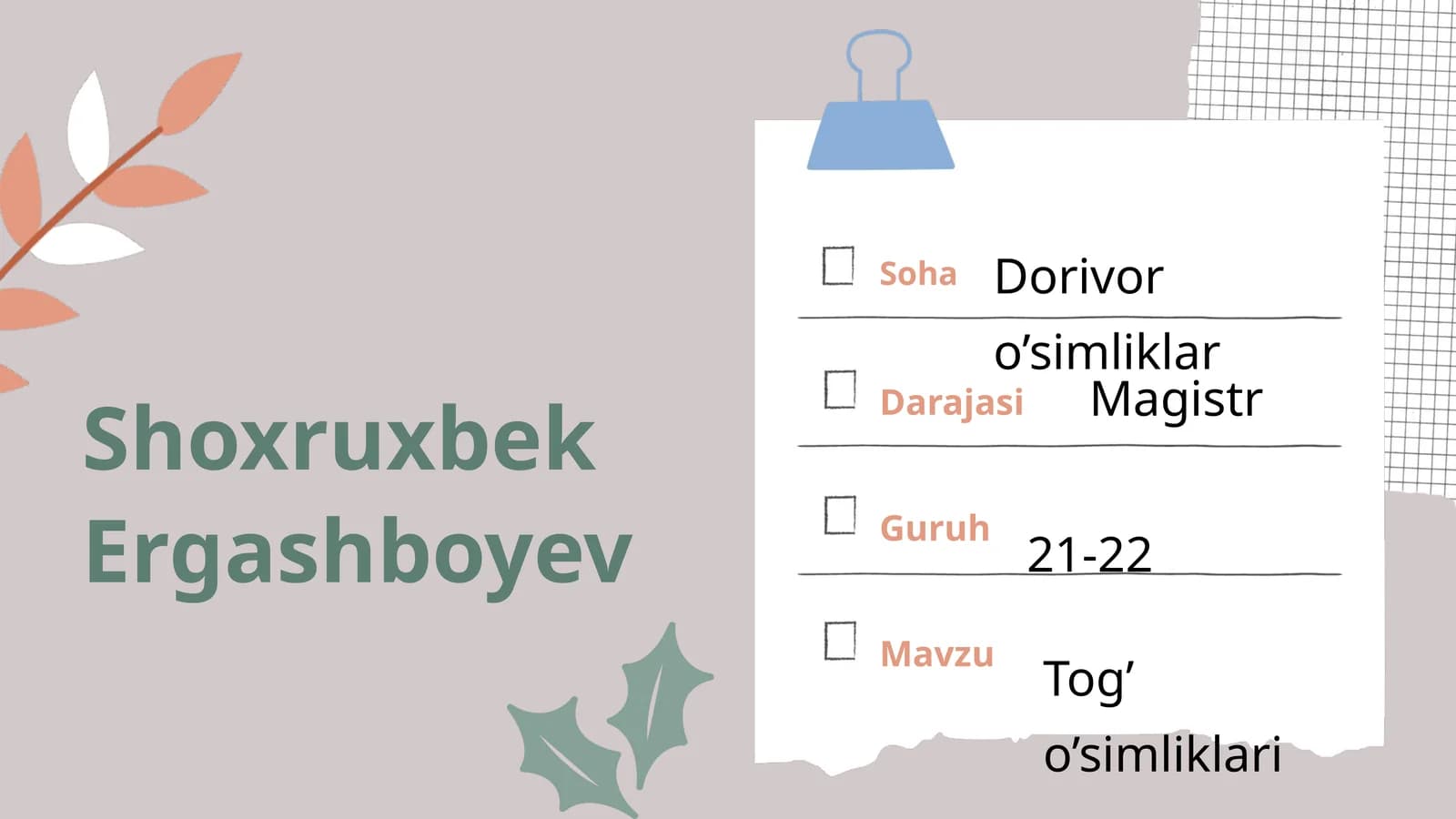 Tog’mintaqasi O’simliklari
