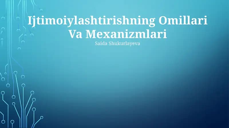 Ijtimoiylashtirishning Omillari Va Mexanizmlari