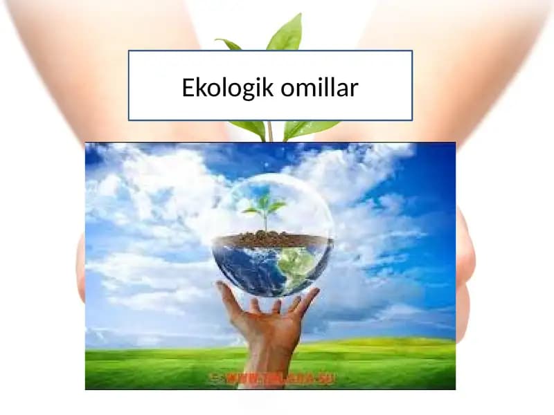 Ekologik omillar