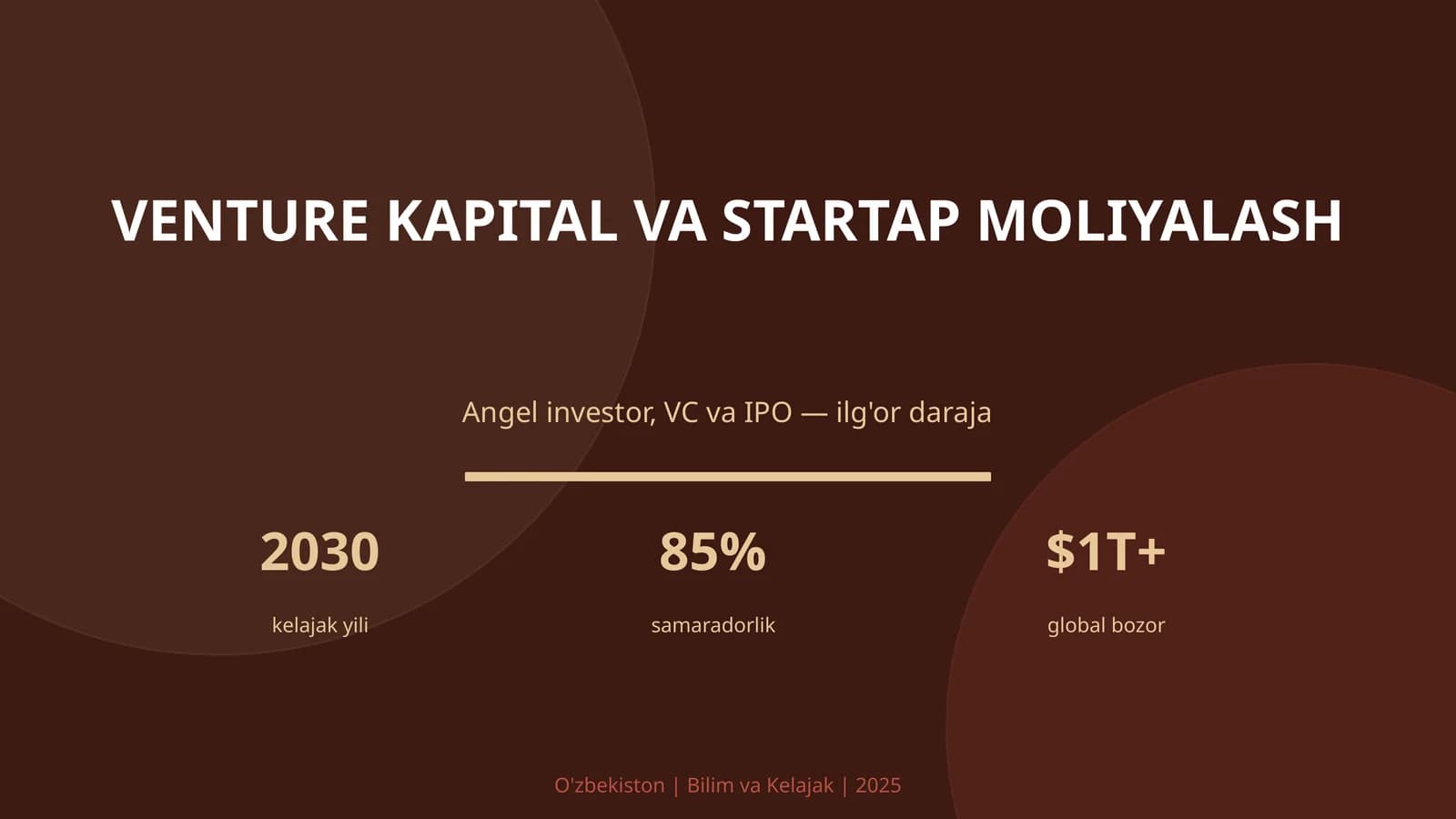 VENTURE KAPITAL VA STARTAP MOLIYALASH