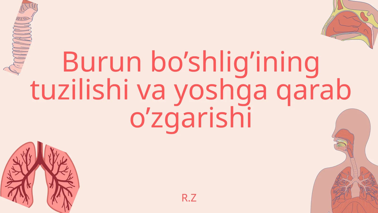 Nafas olish sistemasi va hiqildoq