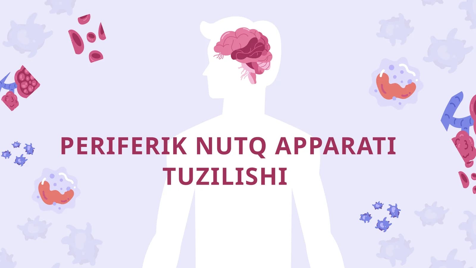 PERIFERIK NUTQ APPARATI TUZILISHI
