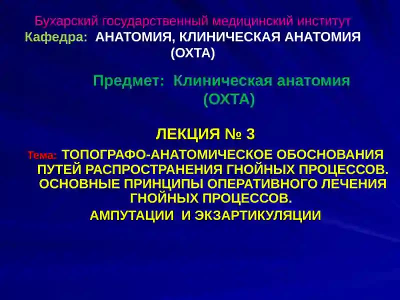 Клиническая анатомия (ОХТА)