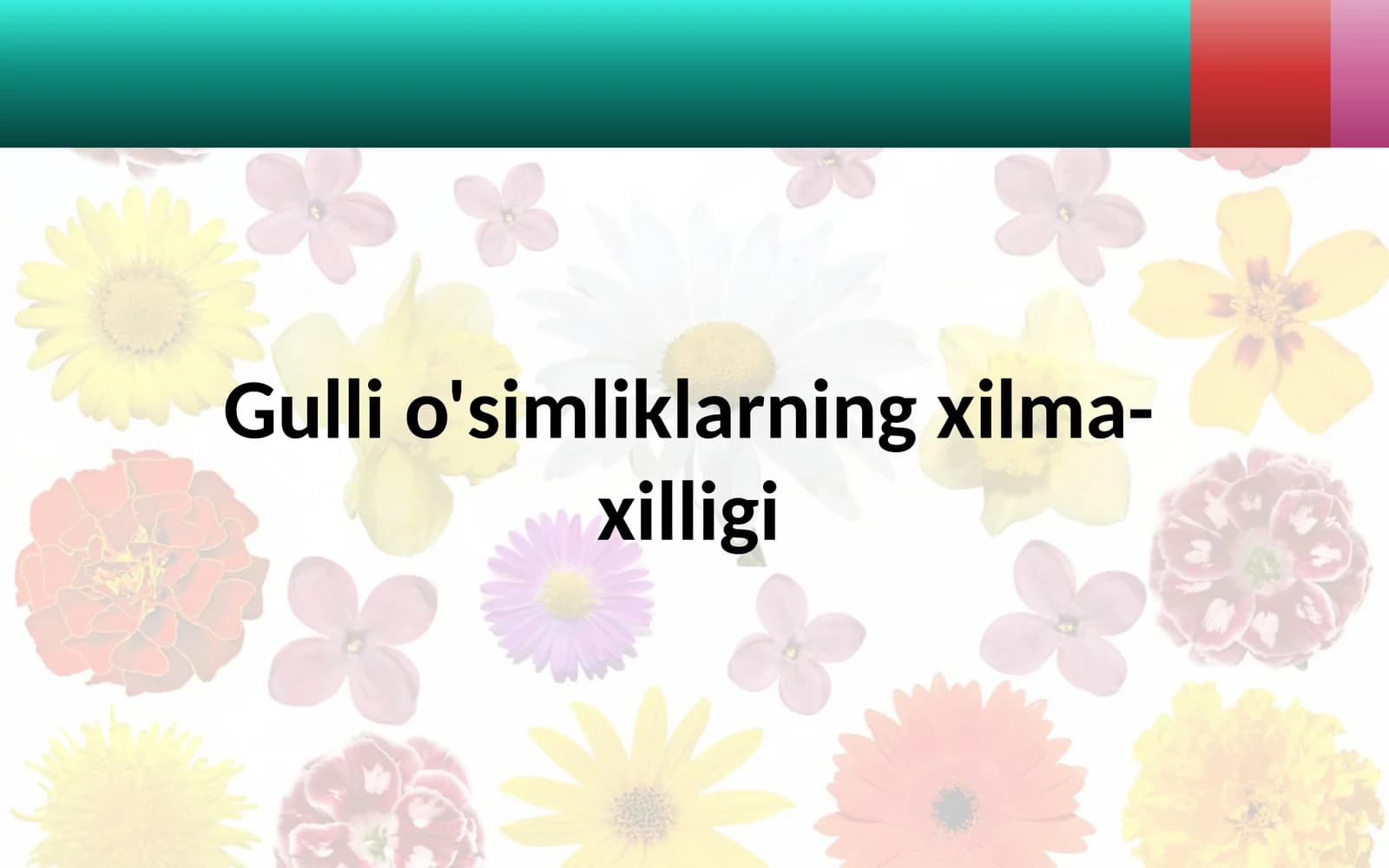 Gulli o'simliklarning xilma-xilligi