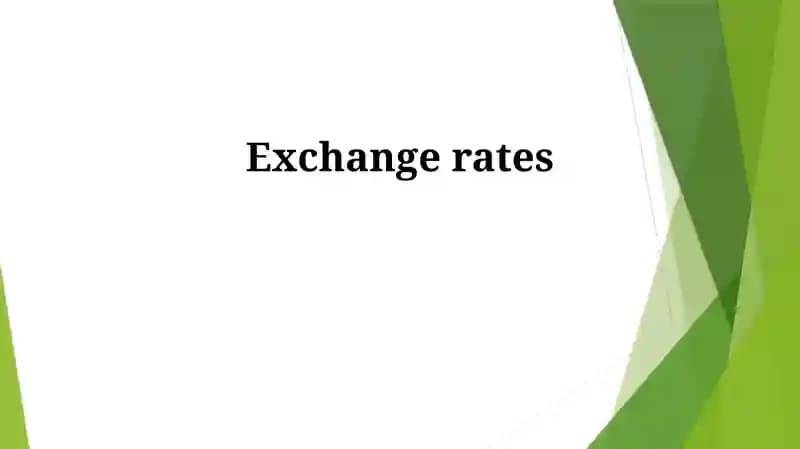 Understanding Exchange Rates