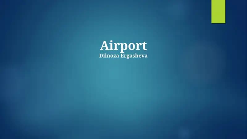 Airport