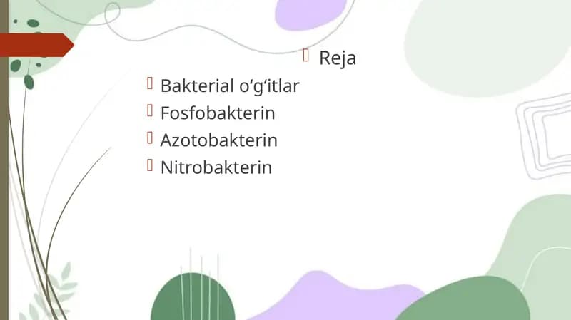 Bakteriologik o‘g‘itlar va ularning qo‘llanilishi