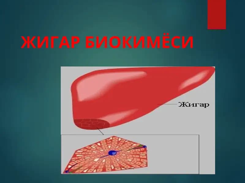 Jigar biokimyosi