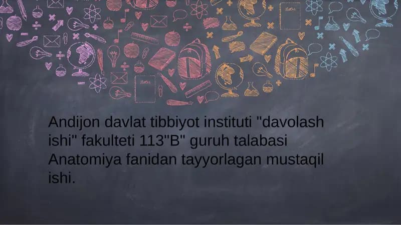 Ko'krak mushaklari