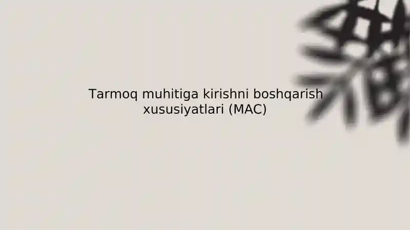 Tarmoq muhitiga kirishni boshqarish xususiyatlari (MAC)
