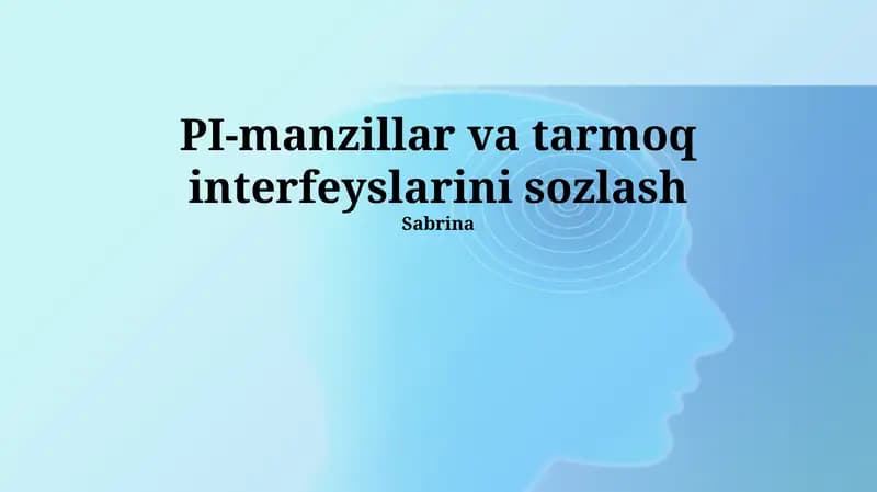 PI-manzillar va tarmoq interfeyslarini sozlash