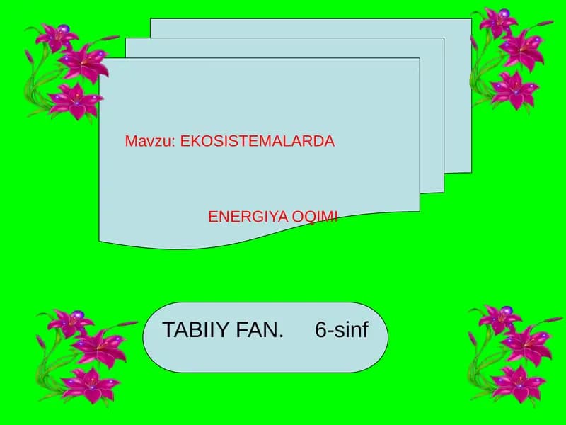 EKOSISTEMALARDA ENERGIYA OQIMI