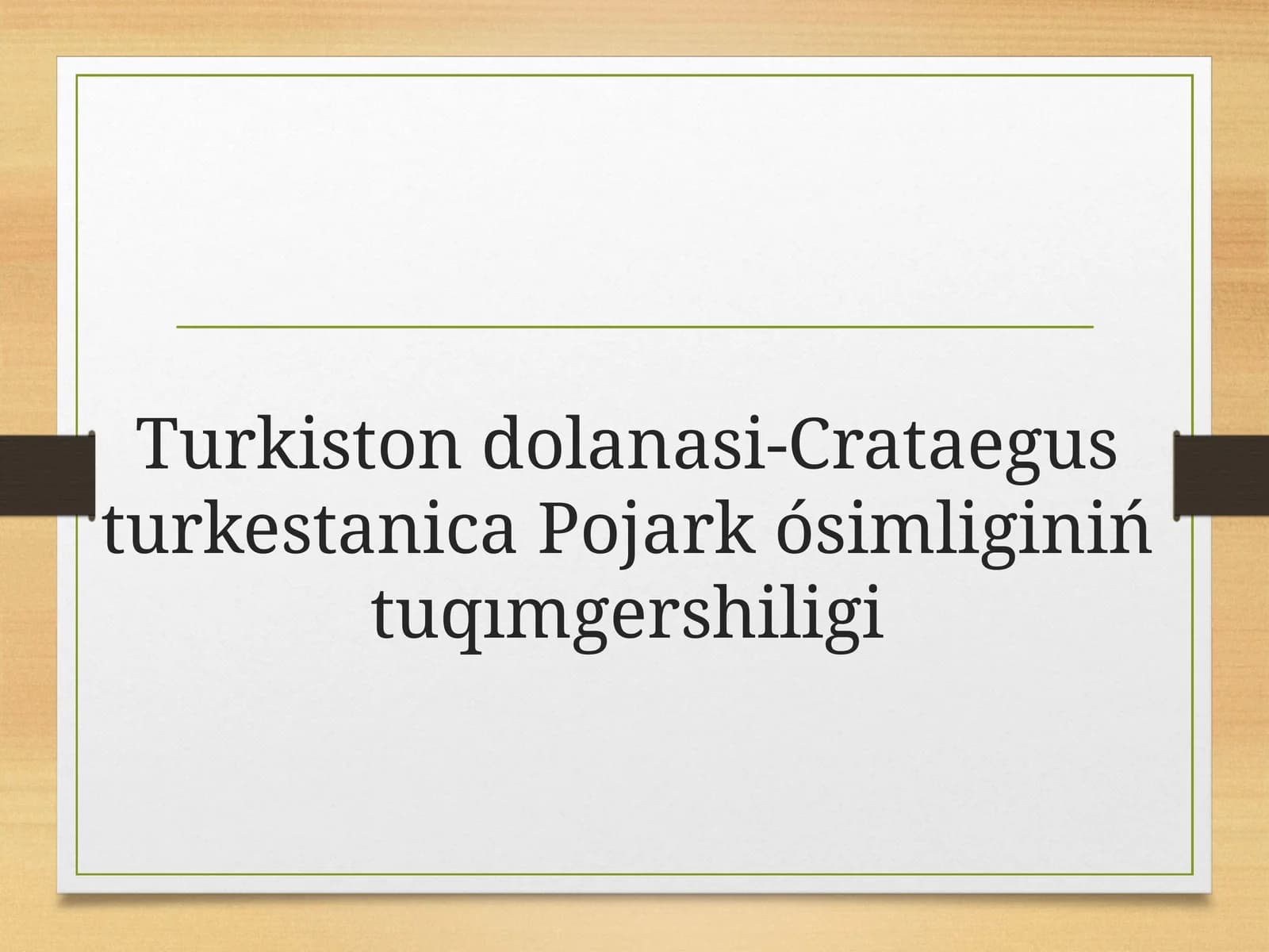 Turkiston dolanasi-Crataegus turkestanica Pojarkósimligi