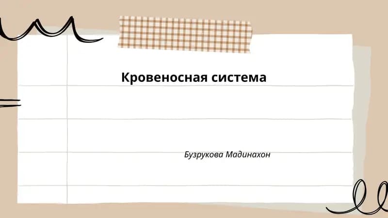 Кровеносная система