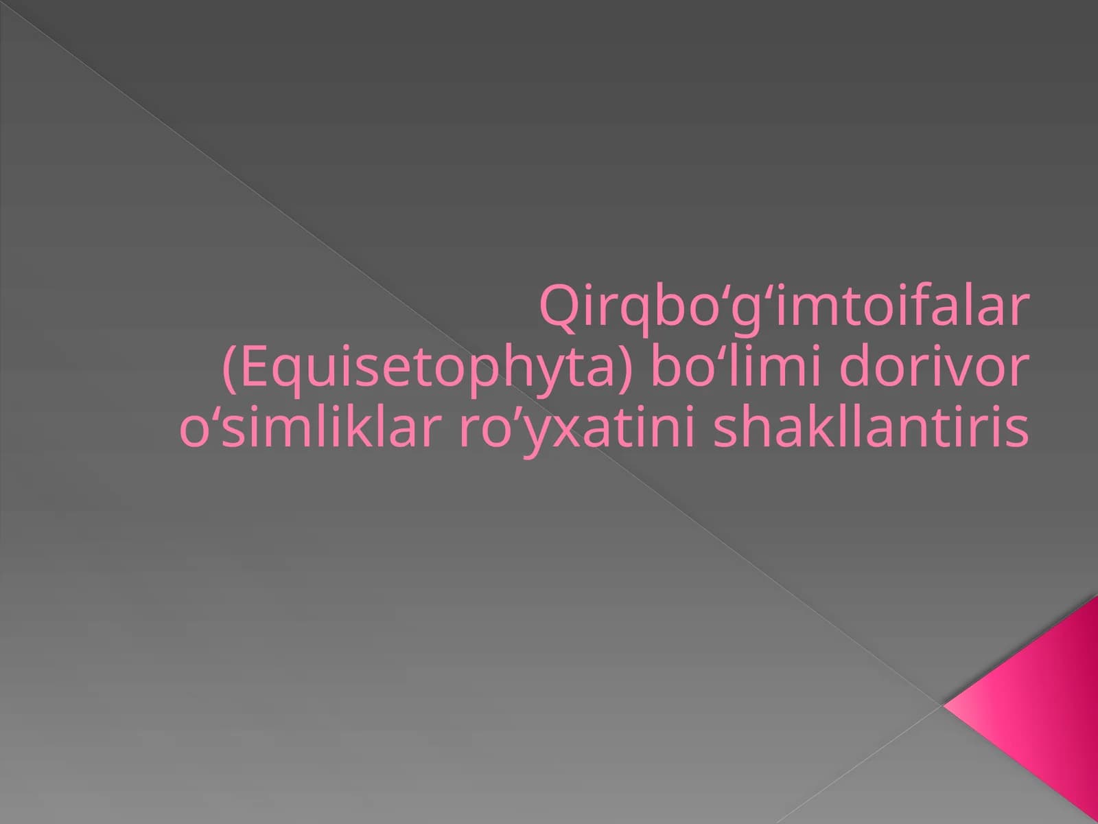 Qirqbo`g`imtoifalar bo`limi
