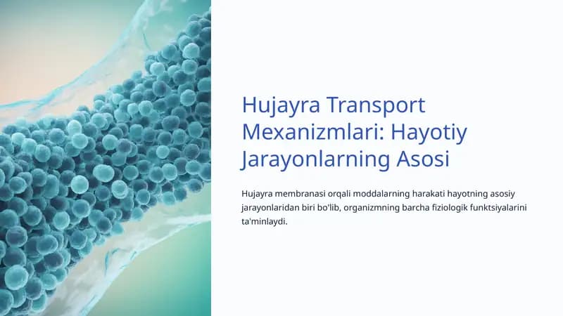 Hujayra Transport Mexanizmlari