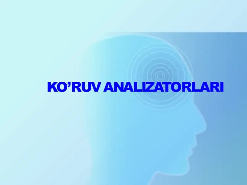 Ko‘ruv analizatorlari