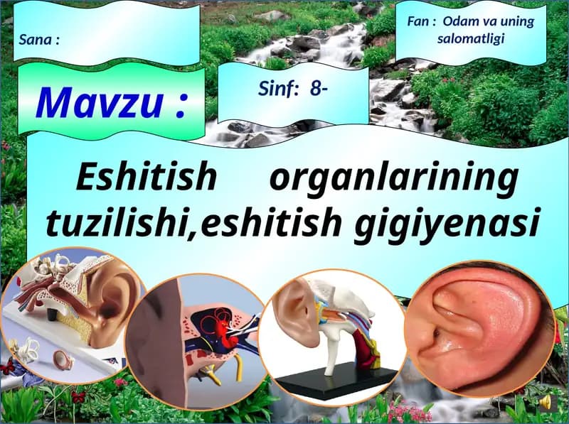 Eshitish  organlarining tuzilishi,eshitish gigiyenasi