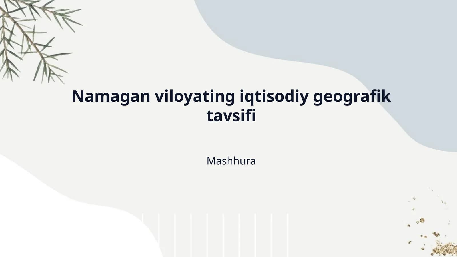 Namagan viloyating iqtisodiy geografik tavsifi
