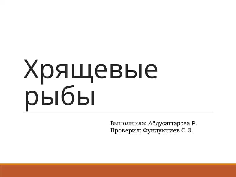 Хрящевые рыбы