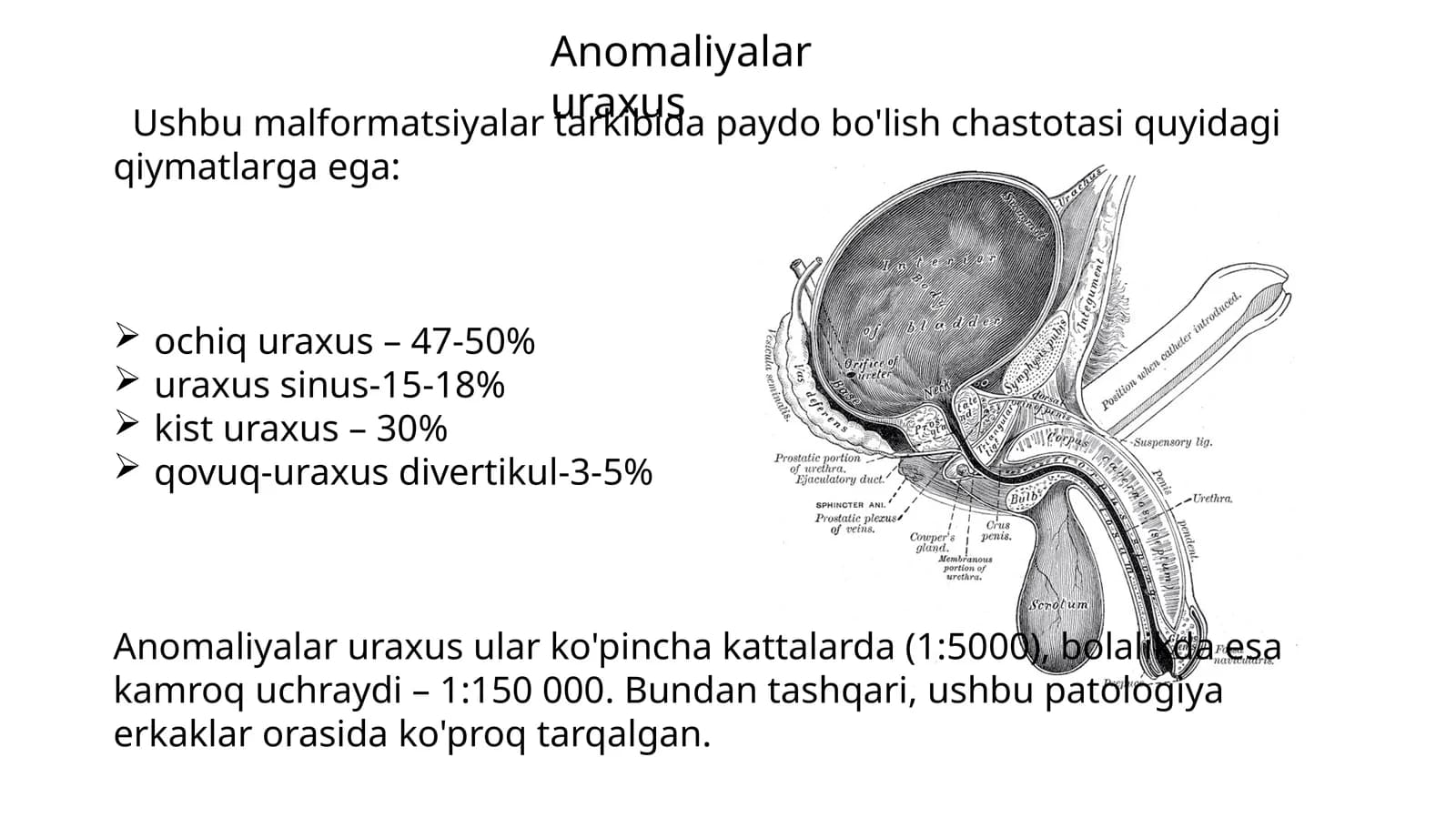 Anomaliyalar uraxus