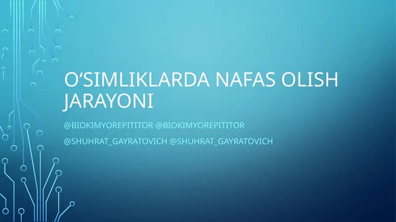 O‘simliklarda Nafas olish jarayoni