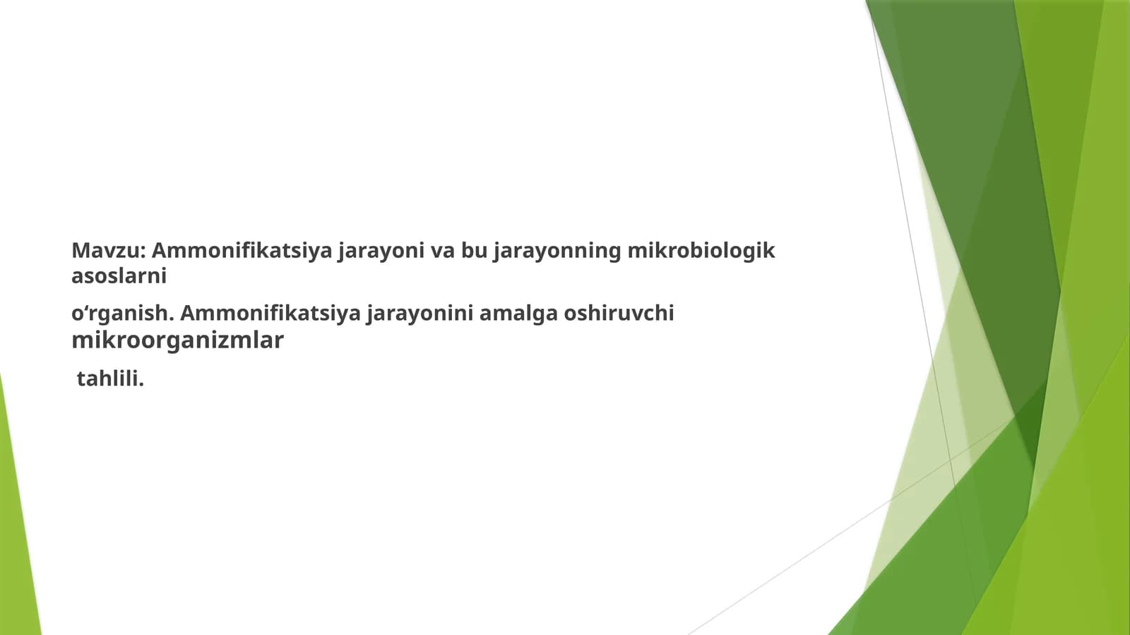 Ammonifikatsiya jarayoni
