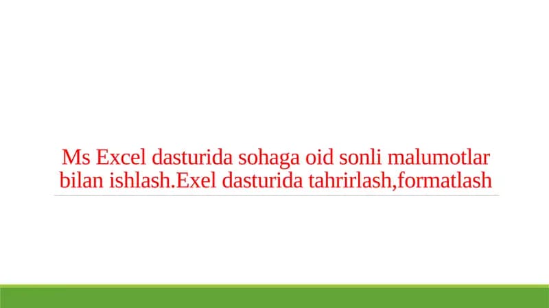 Ms Excel dasturida sohaga oid sonli malumotlar bilan ishlash.Exel dasturida tahrirlash,formatlash
