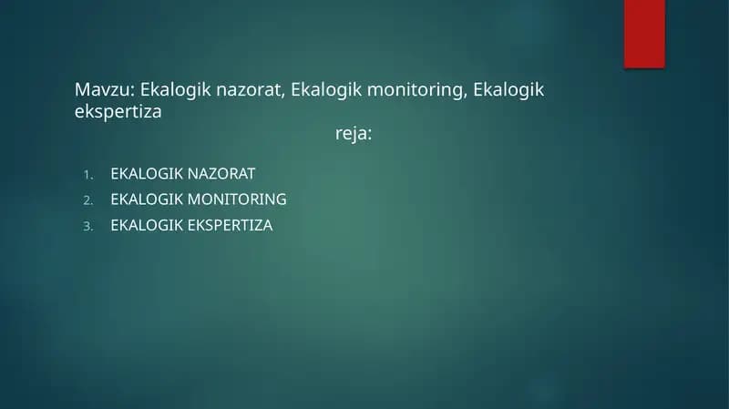 mustaqil ish slayt