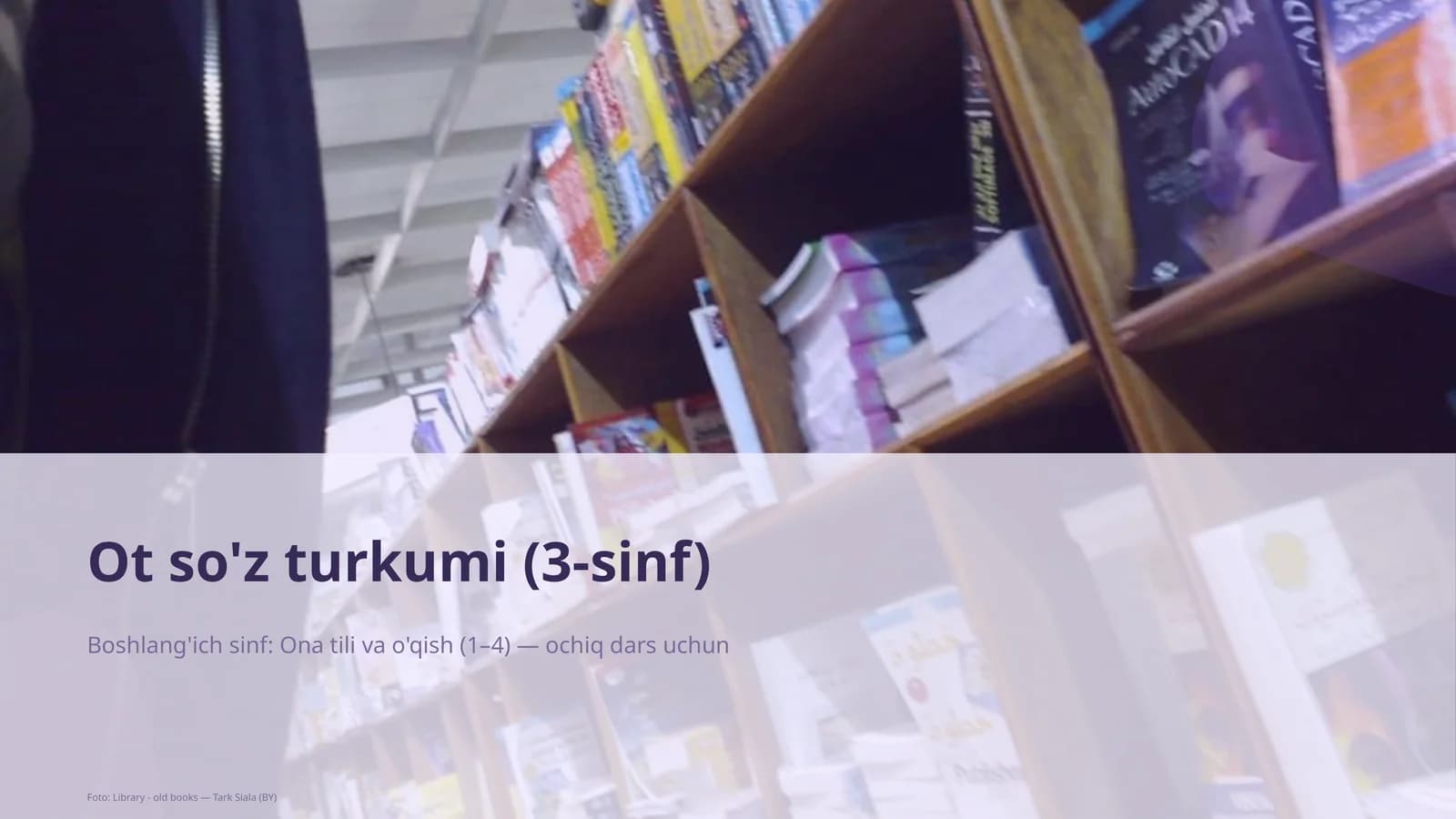 Ot so'z turkumi (3-sinf)
