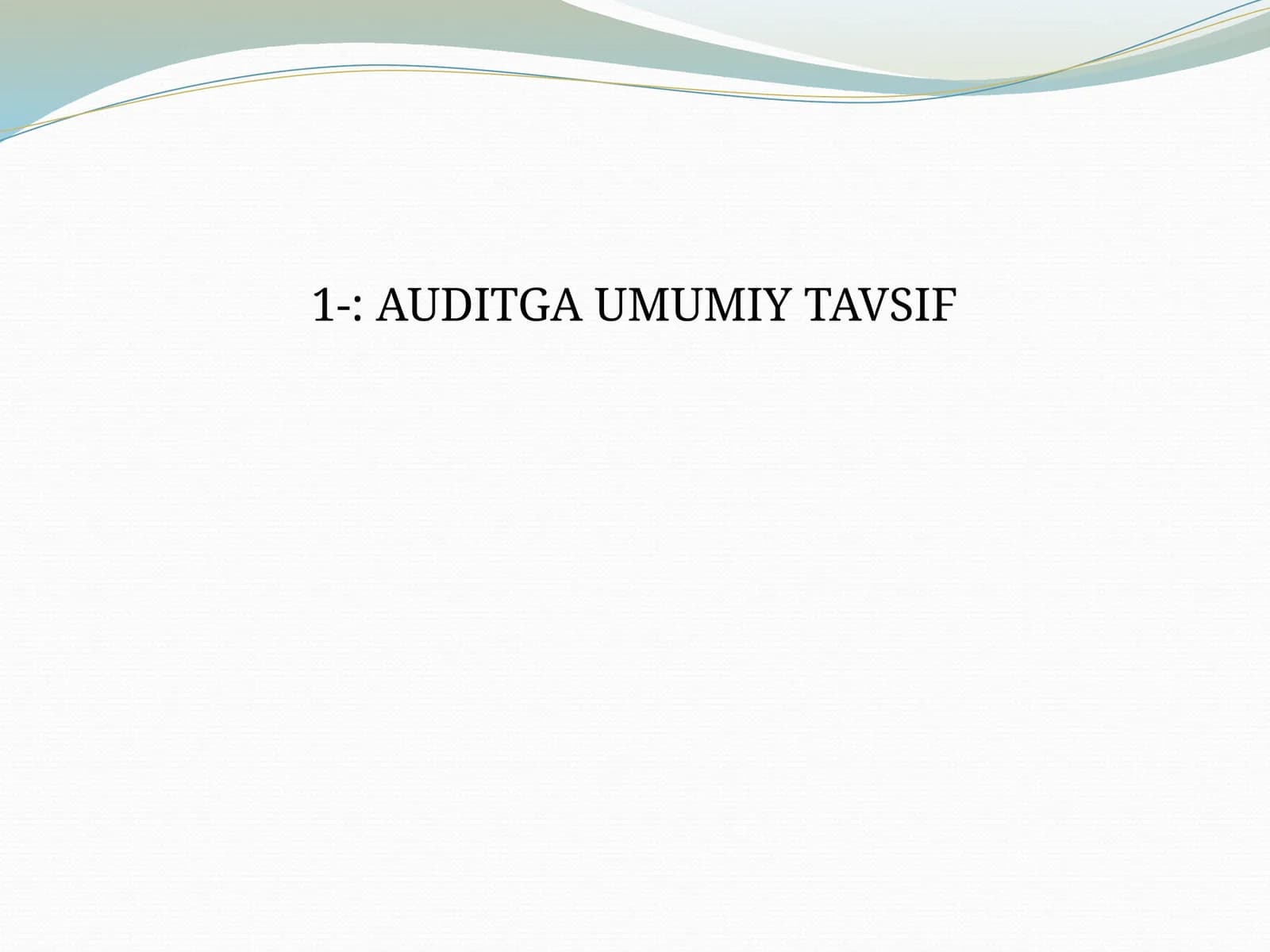 Auditga Umumiy Tavsif