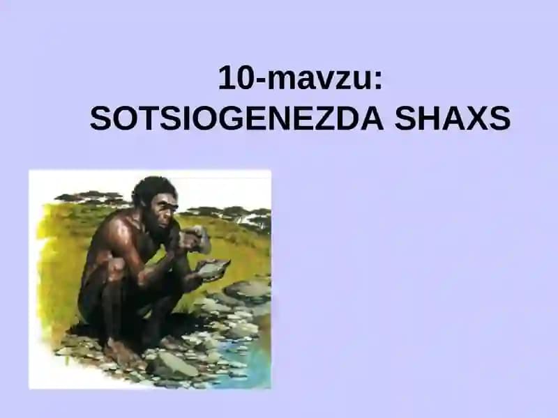 SOTSIOGENEZDA SHAXS