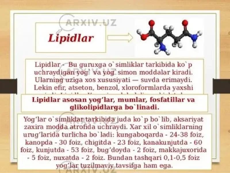 Lipidlar