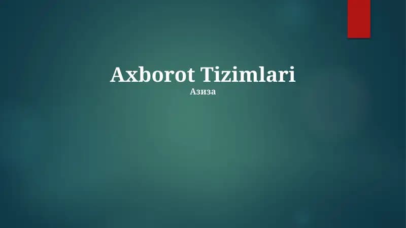 Axborot Tizimlari