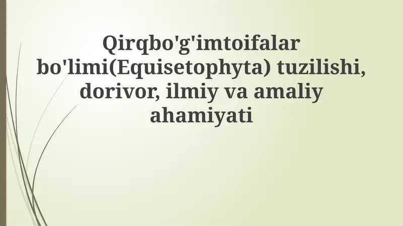 Equisetophyta bo'limi