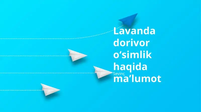 Lavanda Yetishtirish va Parvarishi