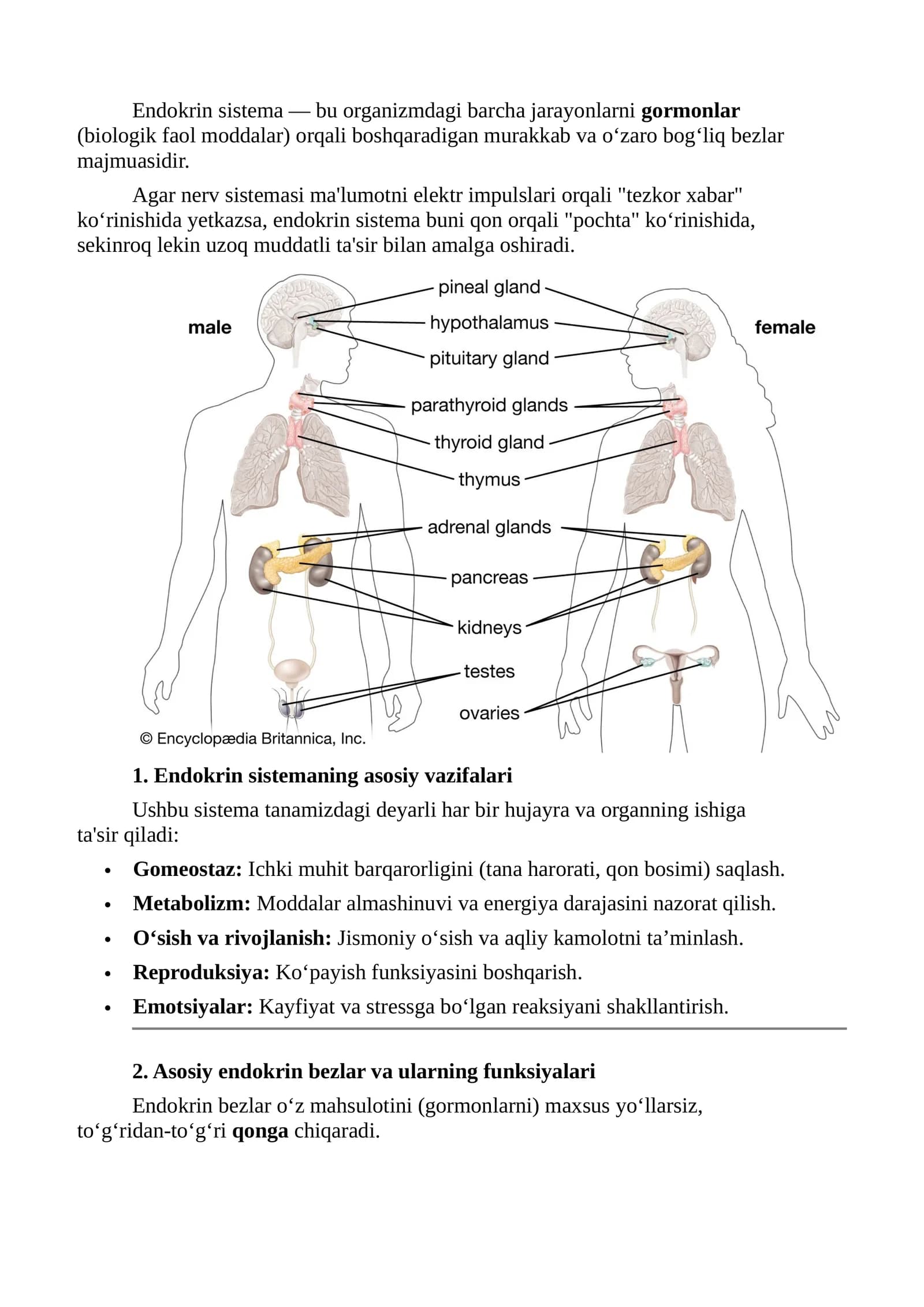 Endokrin sistema