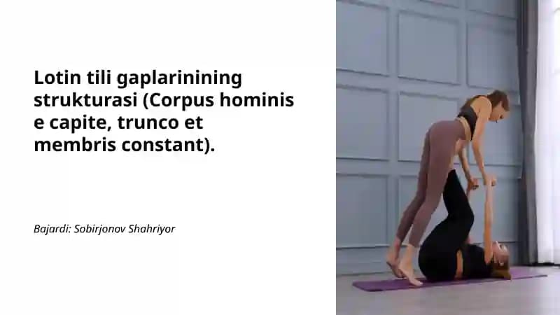 Lotin tili gaplarinining strukturasi